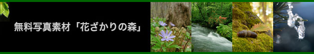 無料写真素材･フリー写真素材「花ざかりの森」ホームへリンク。「ライフイメージ」P2 小道具を使った生活のイメージ