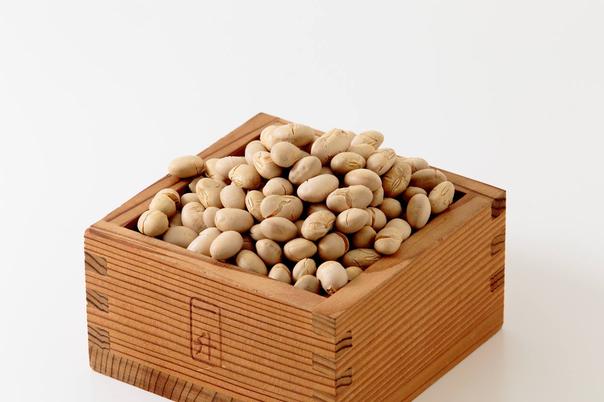r5l-8204　大豆 節分 豆まき