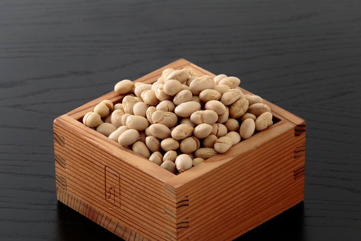 r5l-8205　大豆 節分 豆まき
