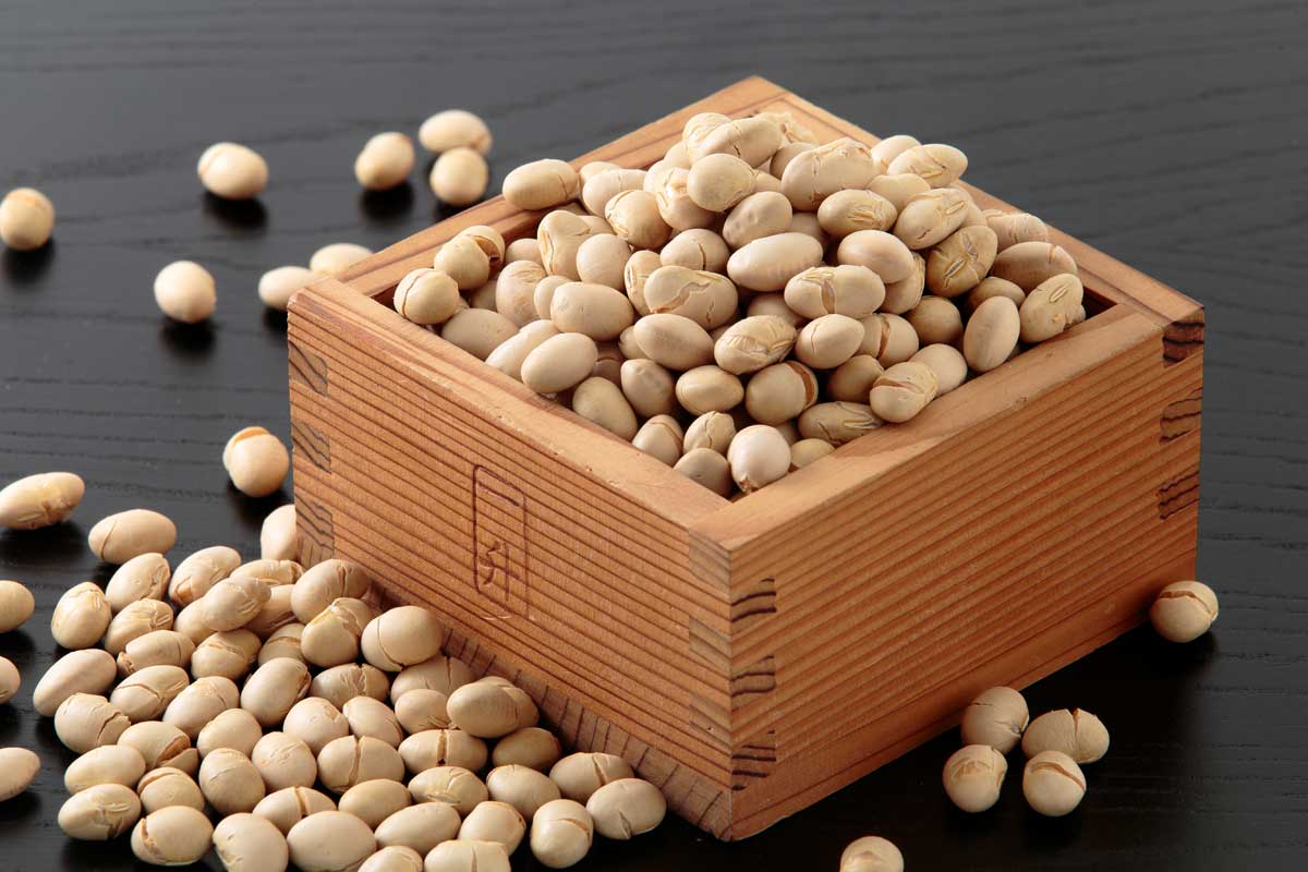 r5l-8207　大豆 節分 豆まき