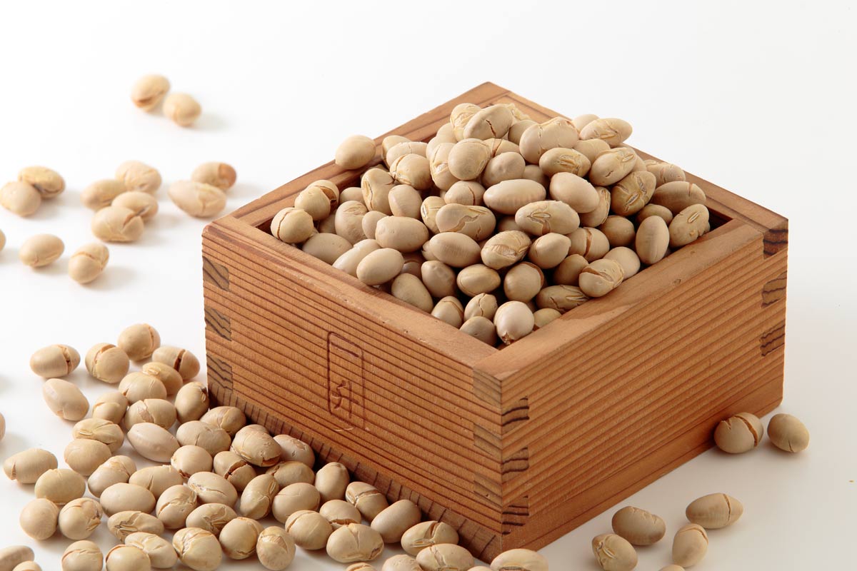 r5l-8209　大豆 節分 豆まき