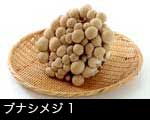 ブナシメジ(ぶなしめじ）1