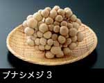 ブナシメジ(ぶなしめじ）3
