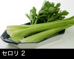 セロリ2
