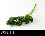 r5-8370　パセリ