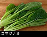 r5-8288　コマツナ