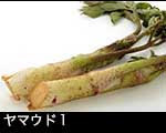 r5l-8376　ヤマウド