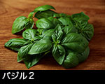 r6-8594　バジル（バジルコ）