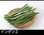 r7-8859　ヒラサヤインゲン　