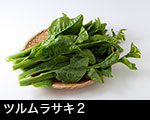 r7-8867　ツルムラサキ　