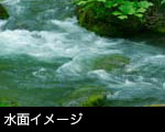 無料写真素材 ストックフォト水面画像 水流 新緑