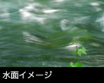 無料写真素材ストックフォト 水面 水流 清流 若葉 