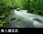 新緑の奥入瀬渓流 無料写真素材