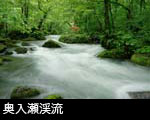 奥入瀬渓流 青森県 画像 フリー写真素材