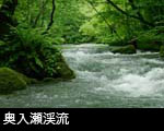 清流の画像 清流のイメージ写真 無料写真素材ストックフォト