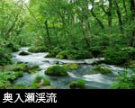 青森県 奥入瀬渓流 画像 写真 フリー素材