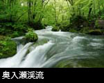 青森県 奥入瀬渓流 阿修羅の流れ 無料写真素材
