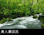 奥入瀬渓流 阿修羅の流れ フリー写真素材