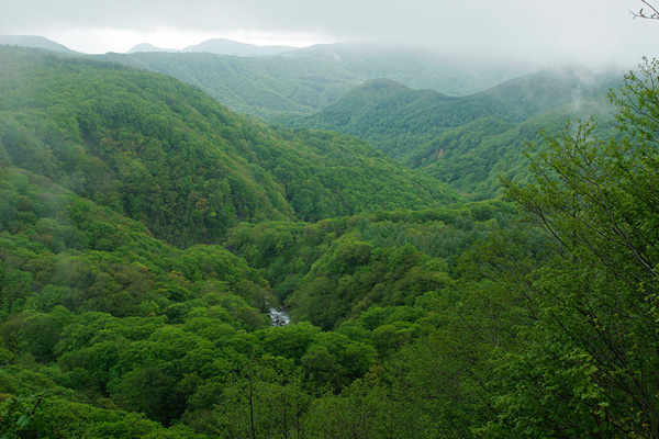 新緑の山並み（青森県城ヶ倉）画像1 無料写真素材 フリー