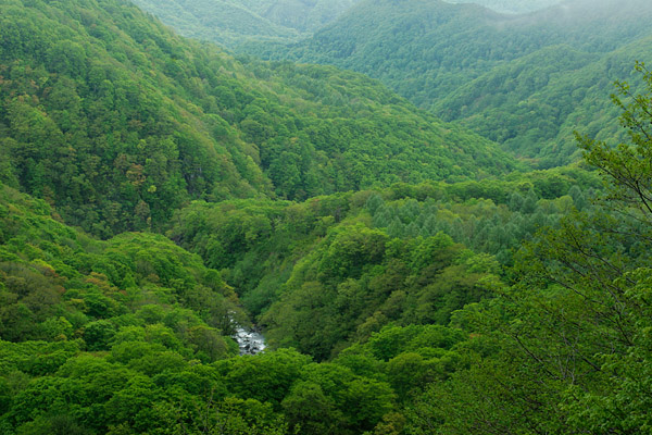 新緑の山並み 画像2 フリー写真素材