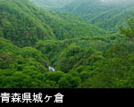 青森県城ヶ倉