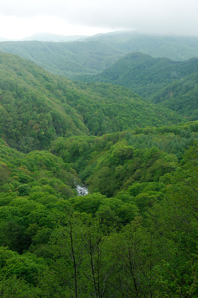 新緑の山並み 画像3 縦 フリー写真素材