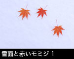 雪面と赤いモミジ1