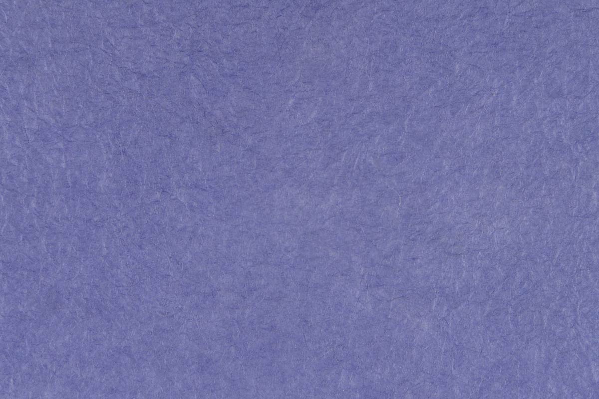 e48-5492　和紙 群青色