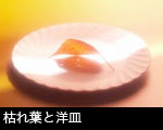 枯れ葉と洋皿