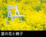 菜の花サムネール画像
