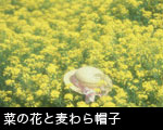 菜の花と麦わら帽子