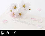 メッセージカードと桜
