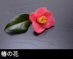椿の花4