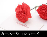 カーネーション カード