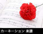 カーネーション 楽譜