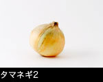 タマネギ一個