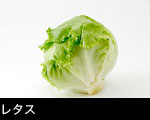 レタス白バック