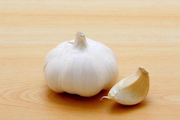 ニンニク画像2 野菜 フリー写真素材