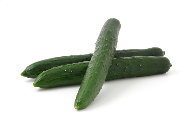 キュウリ 白バック 画像1 野菜素材 無料写真素材