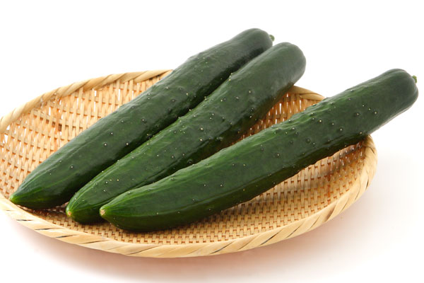 キュウリ ザル入った 画像1 野菜素材 フリー写真素材