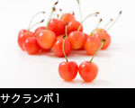 サクランボ1