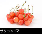 さくらんぼ2
