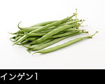 インゲン