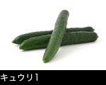 キュウリ1