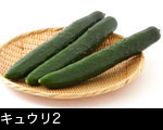 キュウリ2