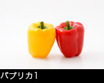 パプリカ1
