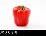 パプリカ5
