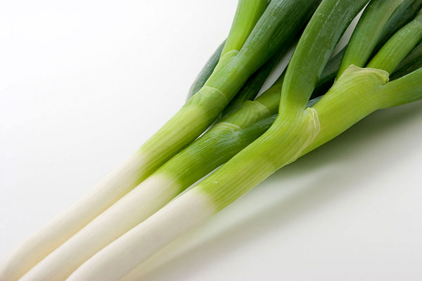 ネギ 画像1 野菜の素材 無料写真素材
