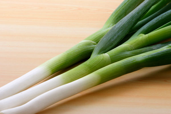 長ネギ 画像2 野菜の素材 フリー写真素材