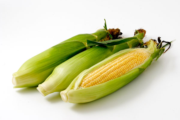 トウモロコシ 画像1 野菜の素材 無料写真素材 フリー